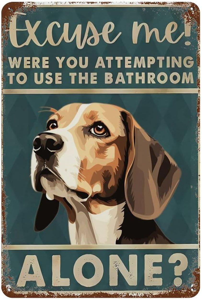 Placa de Metal Vintage Engraça - Home Alone Bathroom avaliação e preço