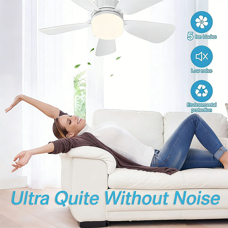 Ventilador de teto com parafus - Home Bathroom Fan avaliação e preço