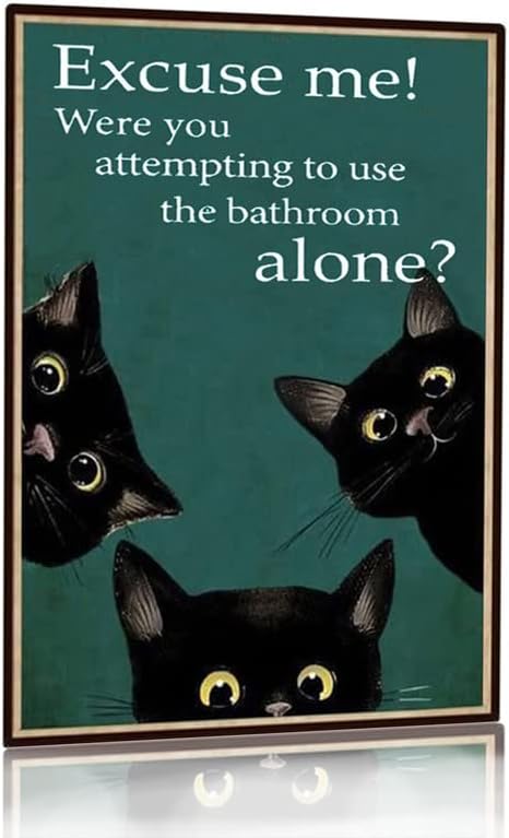 Placa Decorativa Engraçada de  - Home Alone Bathroom avaliação e preço