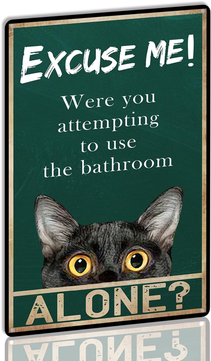 Placa de Metal YLUYINOM com Pi - Home Alone Bathroom avaliação e preço
