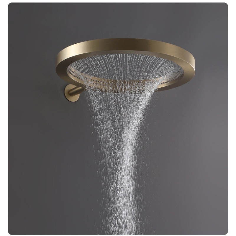 Cabeça de chuveiro de alta pre - Home Bathroom Upgrades avaliação e preço